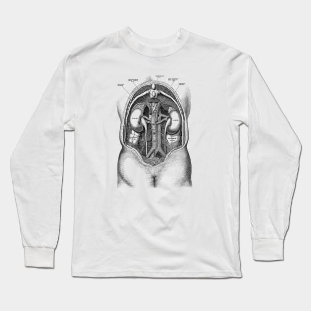 Human Kidney System - Vintage Anatomy Long Sleeve T-Shirt by Vintage Anatomy Prints